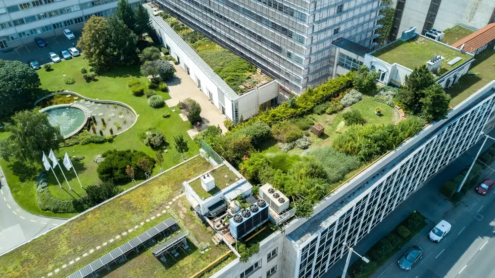 Commercial Landscaping